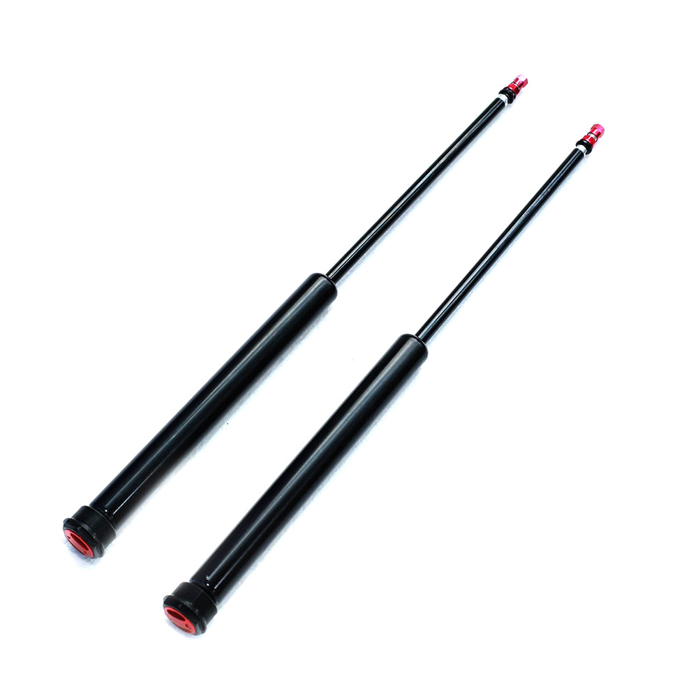 INMOTION V11 /V11Y Gas spring assembly