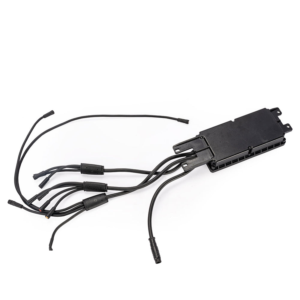 INMOTION RS/RS Lite Central Controller Module