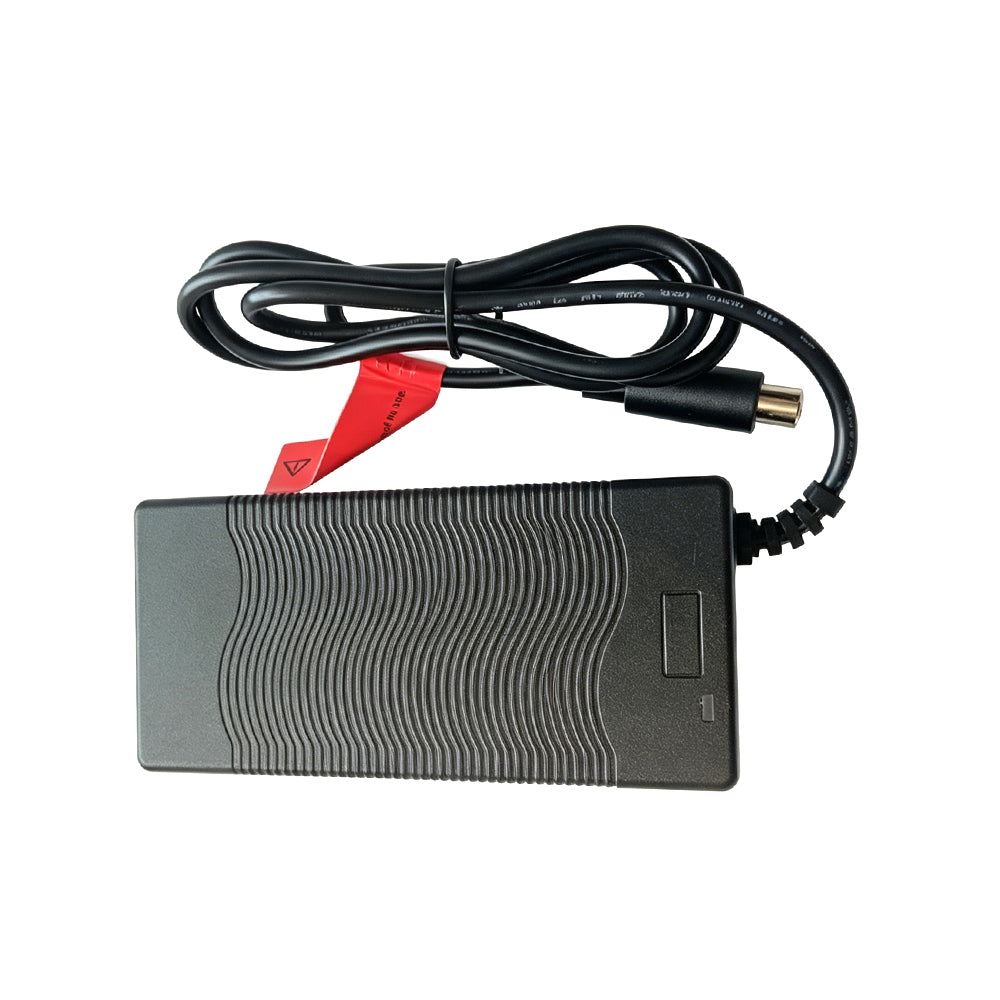 INMOTION E20 charger