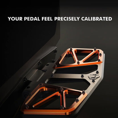 INMOTION P6 Pedal Assembly