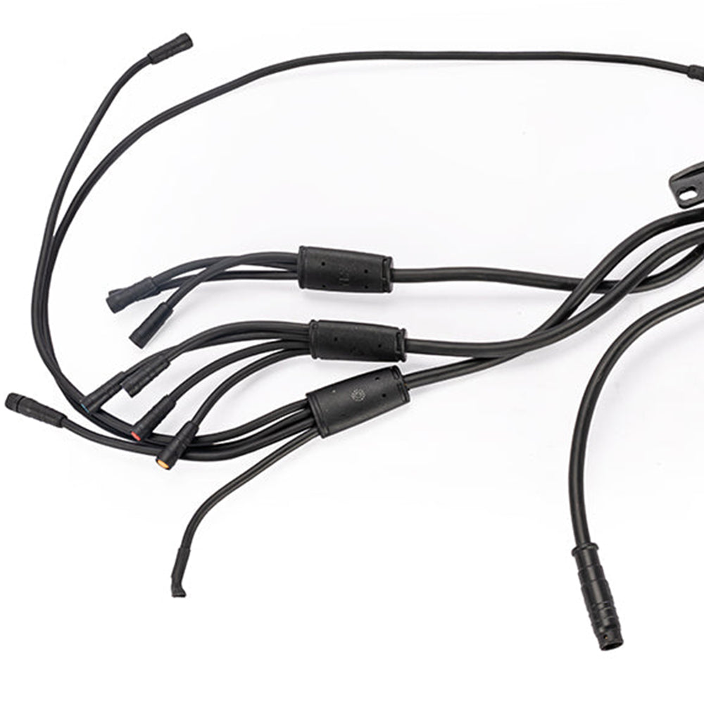 INMOTION RS/RS Lite Central Controller Module